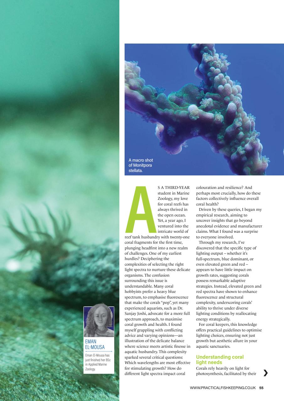 Practical Fishkeeping Preview Pages