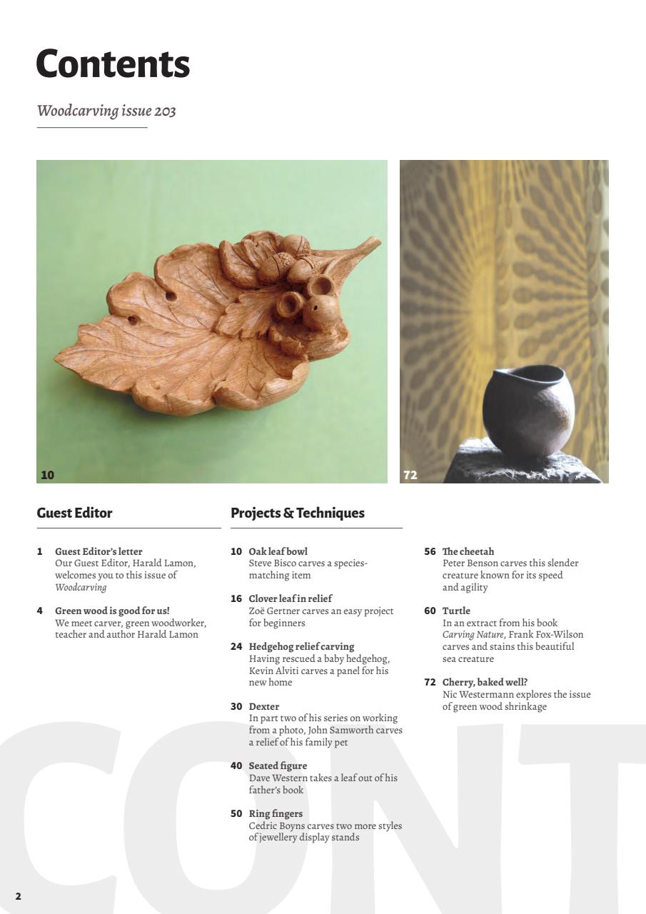 Woodcarving Preview Pages