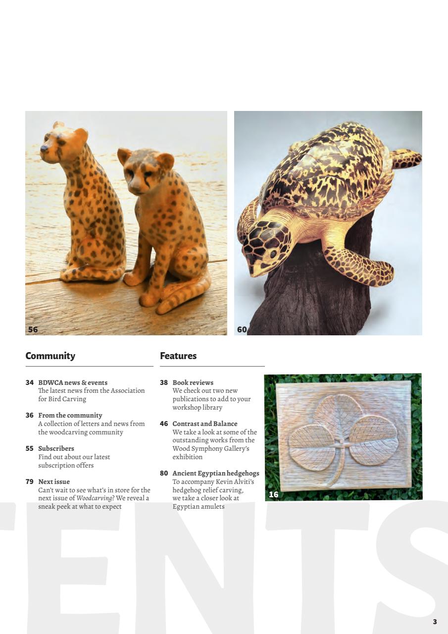 Woodcarving Preview Pages