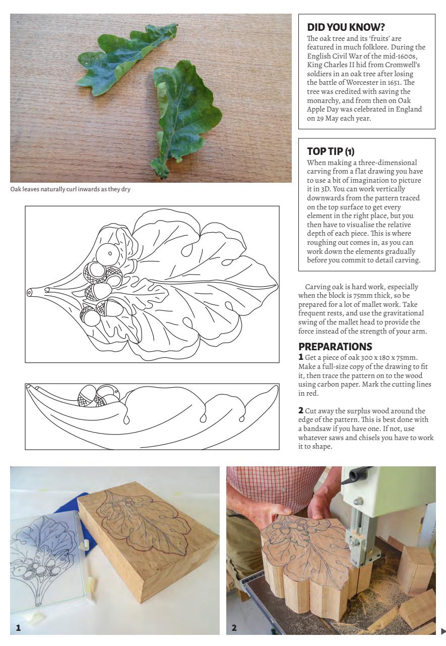 Woodcarving Preview Pages