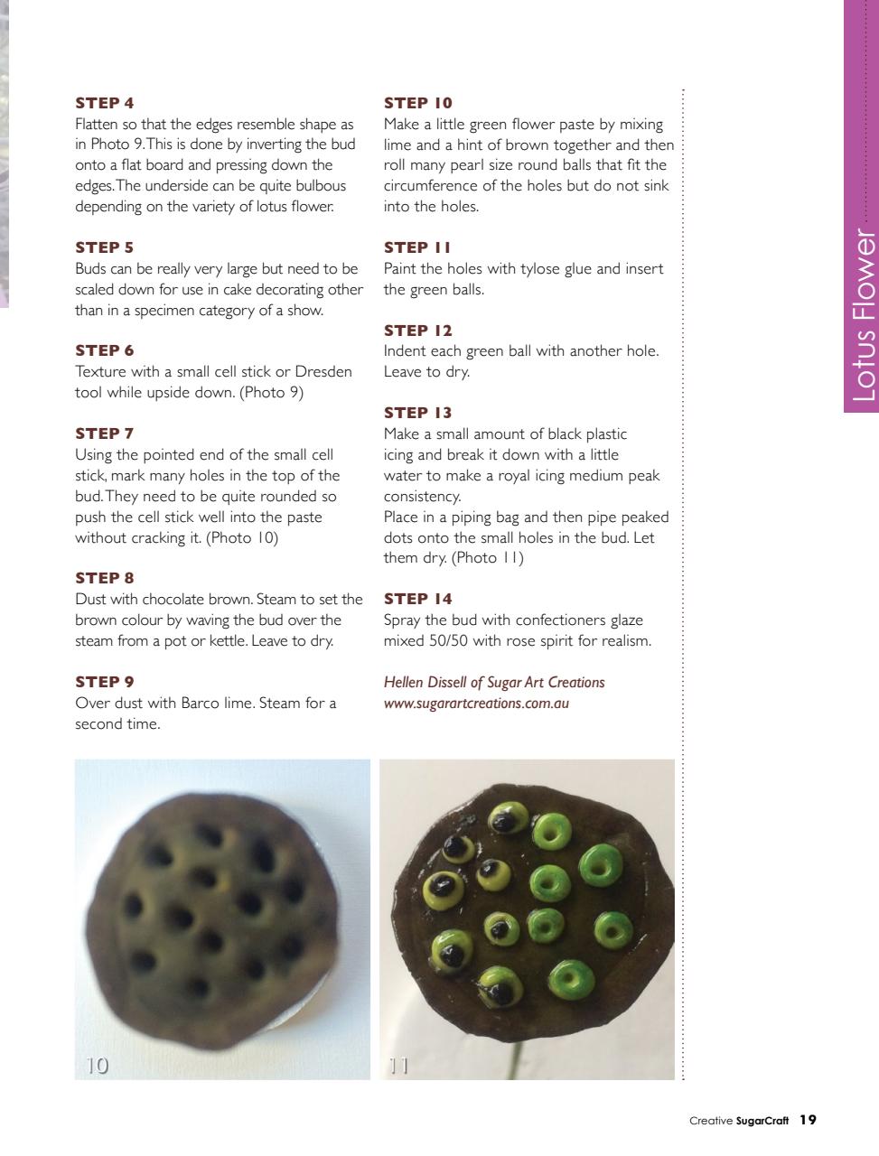 Creative Sugar Craft Preview Pages