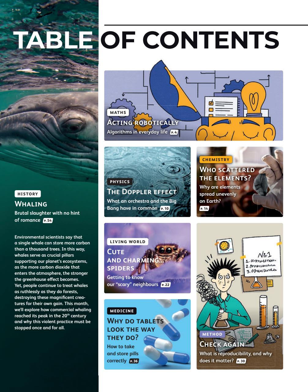 OYLA Magazine Preview Pages