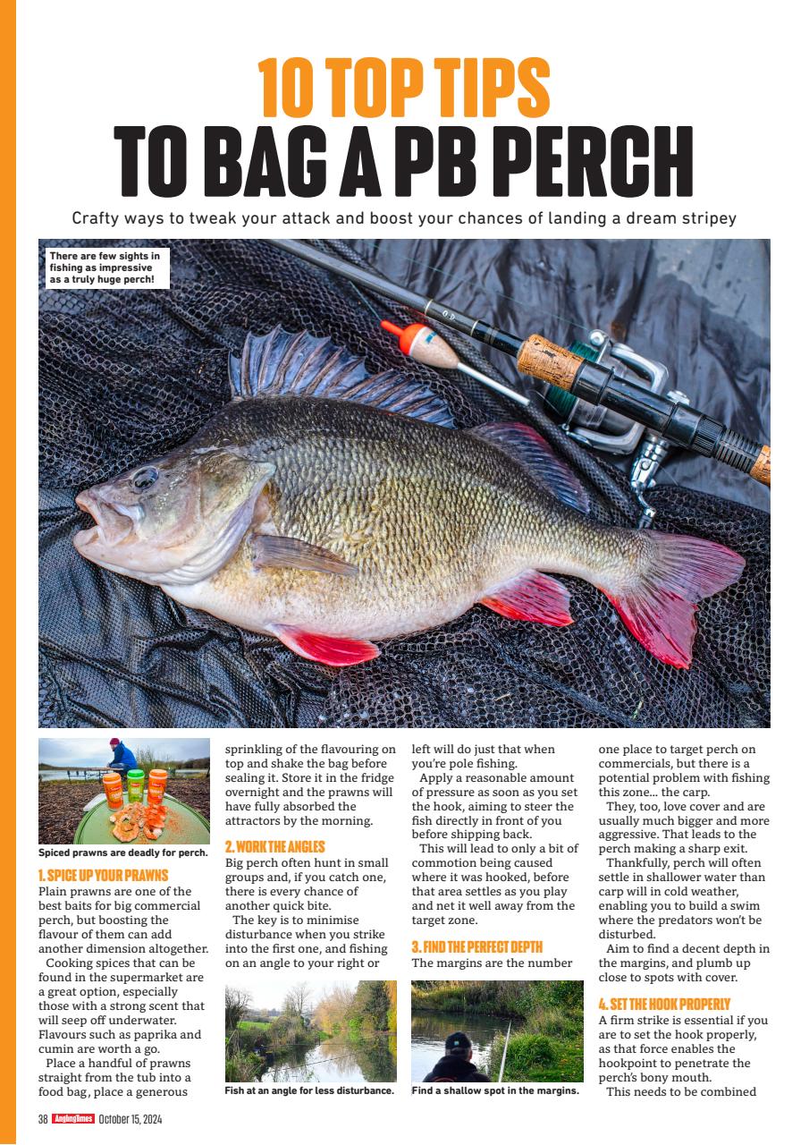 Angling Times Preview Pages