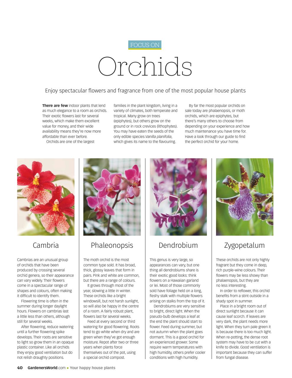 BBC Gardeners’ World Magazine Preview Pages