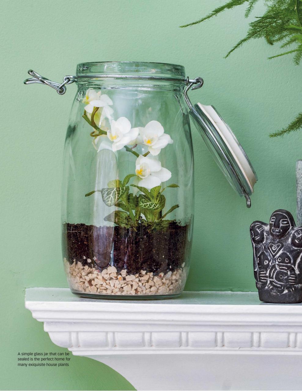 BBC Gardeners’ World Magazine Preview Pages