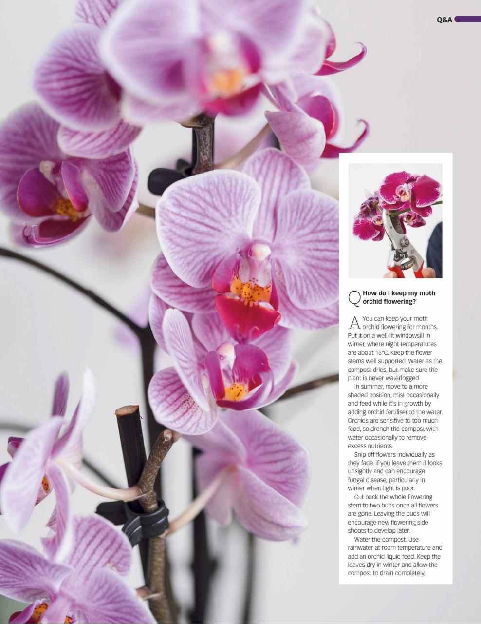 BBC Gardeners’ World Magazine Preview Pages