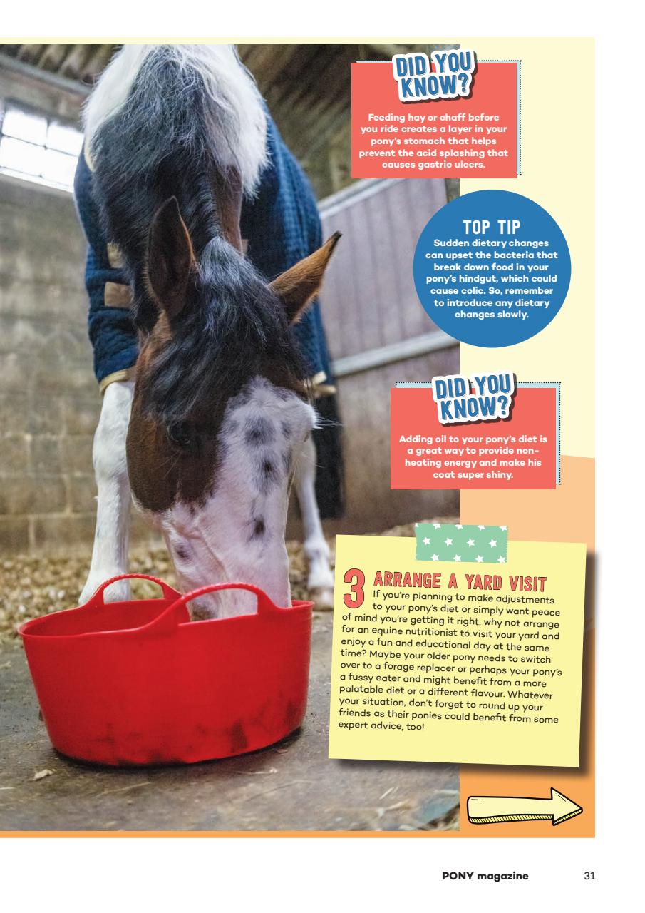 Pony Magazine Preview Pages