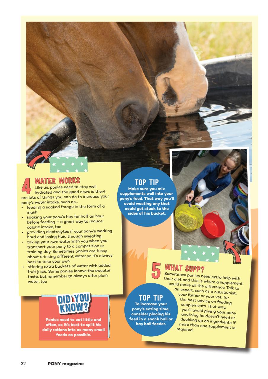 Pony Magazine Preview Pages