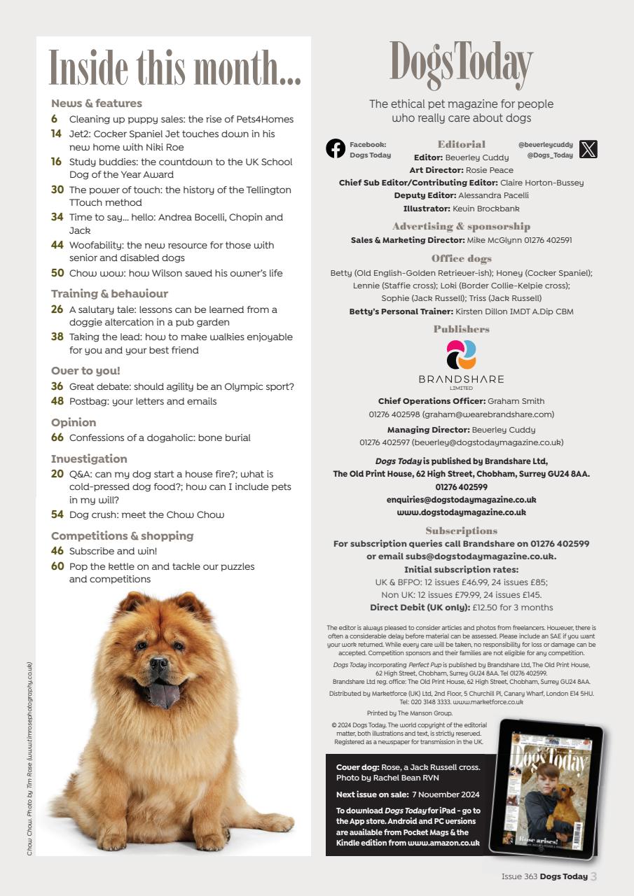 Dogs Today Magazine Preview Pages