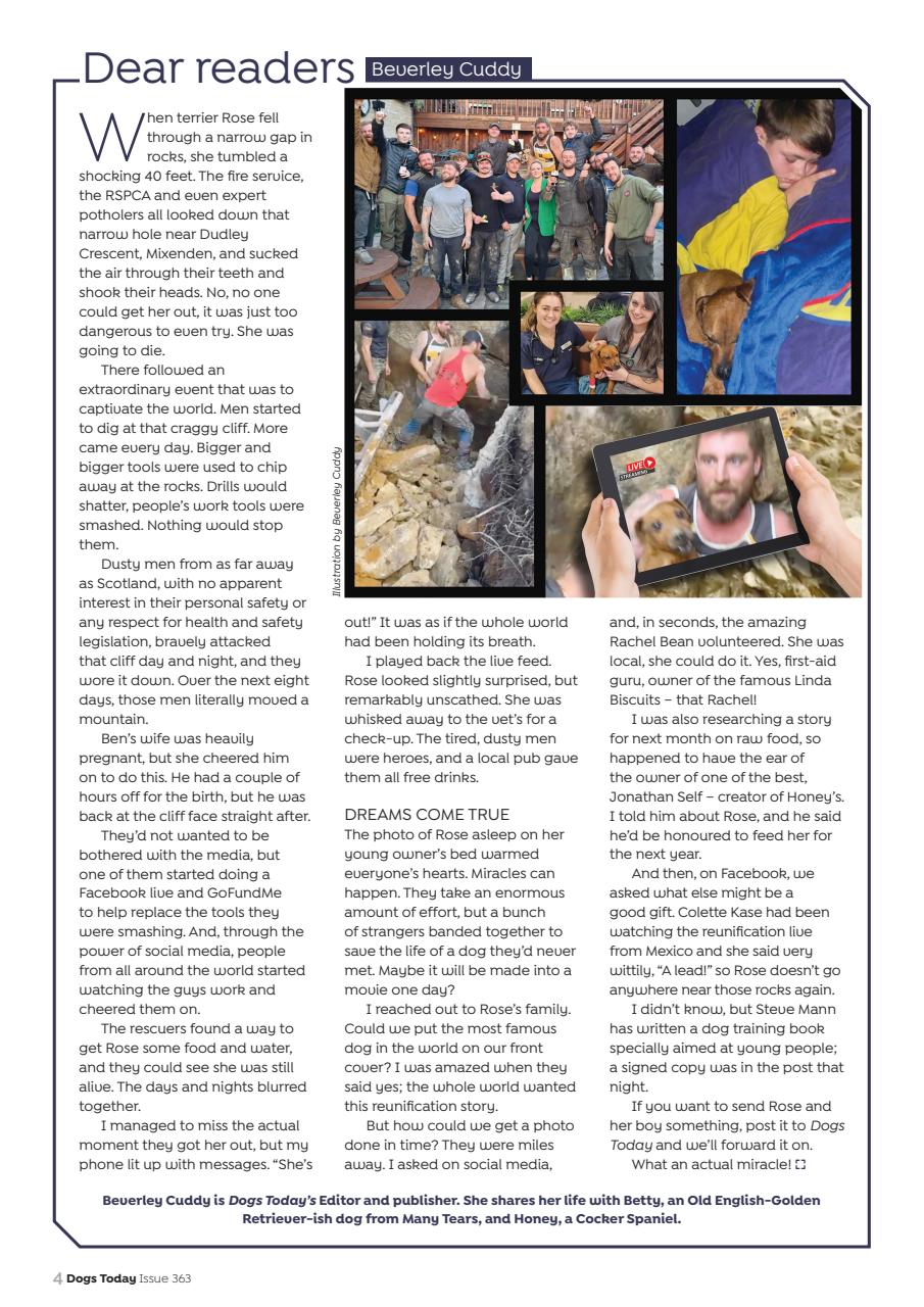 Dogs Today Magazine Preview Pages