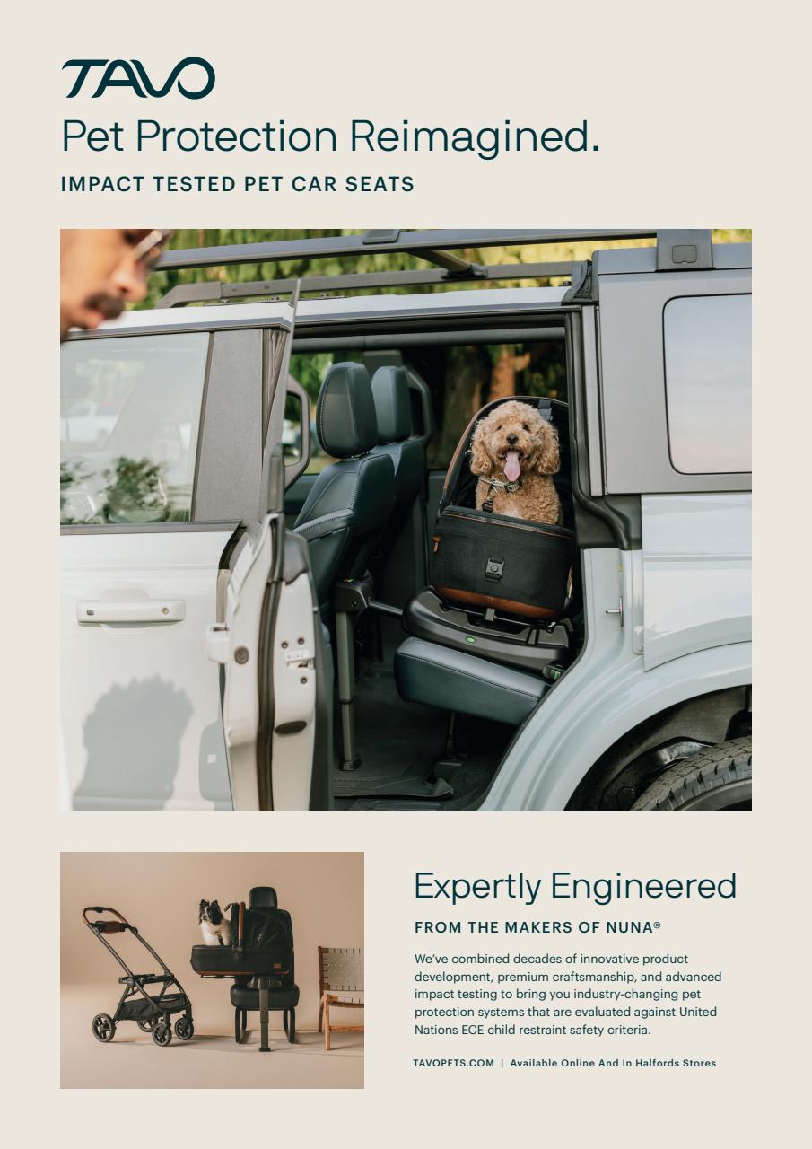 Dogs Today Magazine Preview Pages