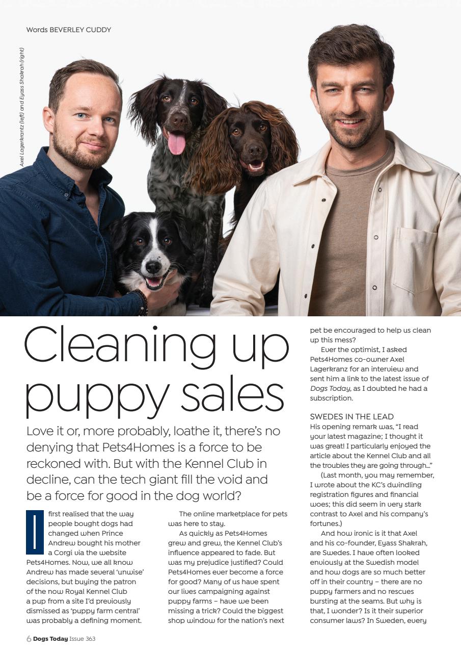 Dogs Today Magazine Preview Pages