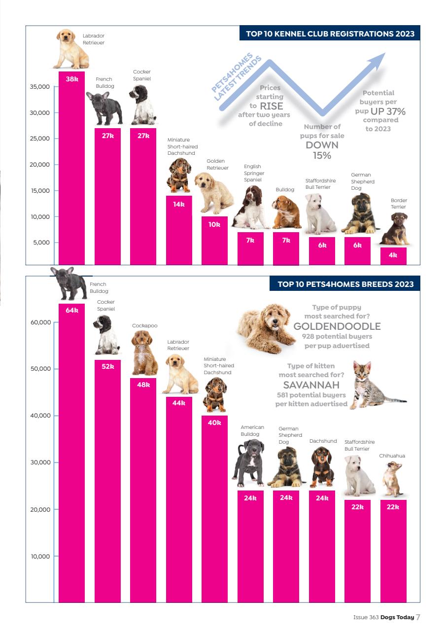 Dogs Today Magazine Preview Pages