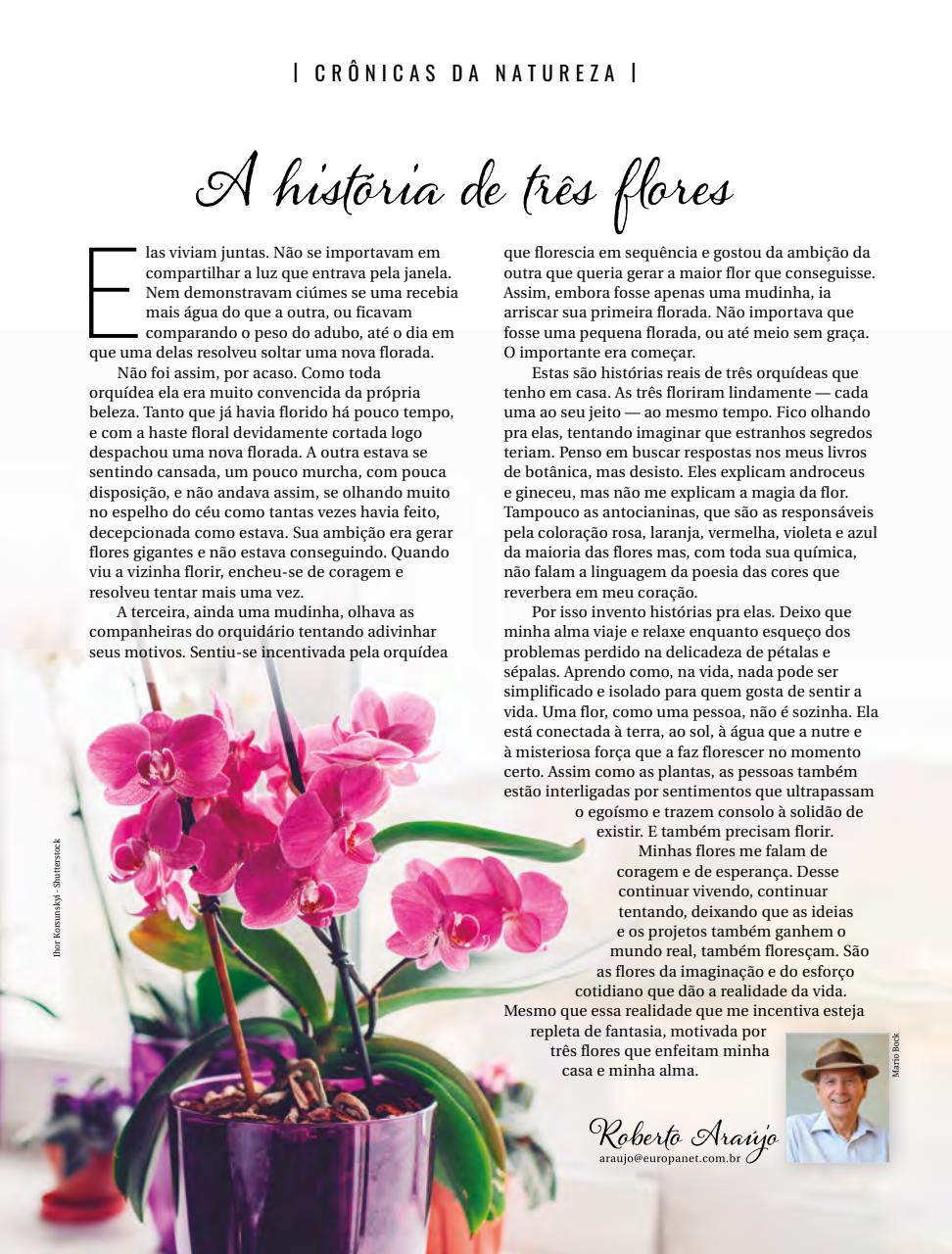 Natureza Preview Pages