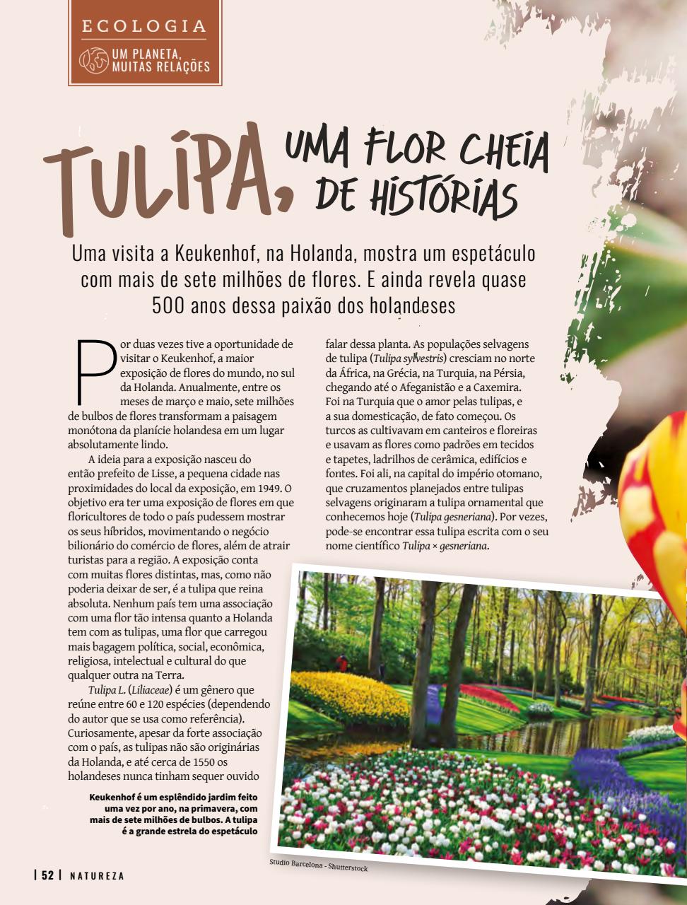 Natureza Preview Pages