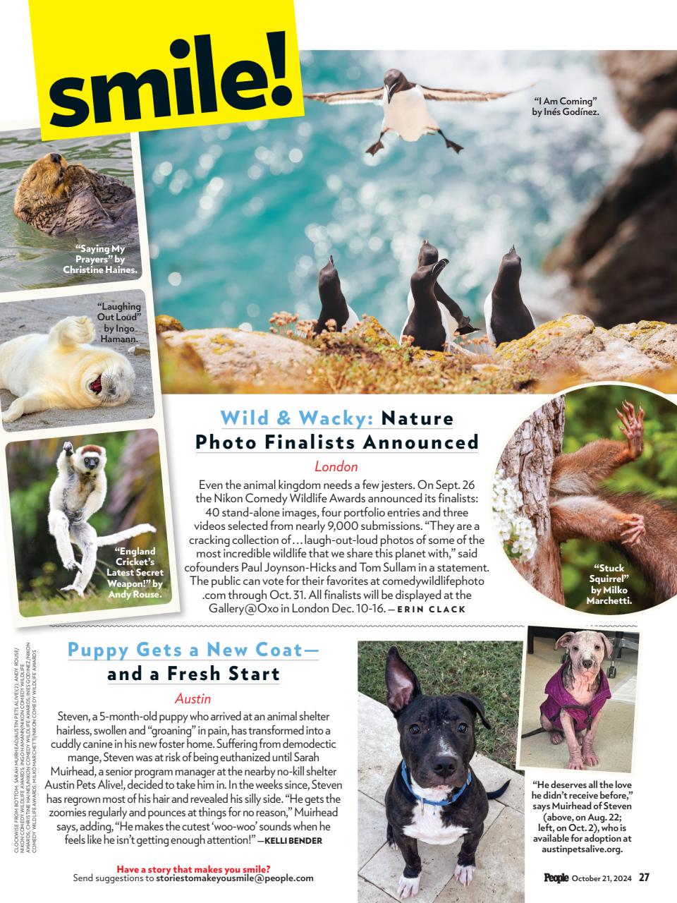 People Preview Pages