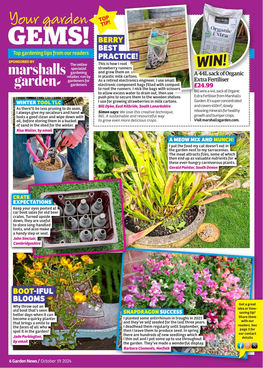 Garden News Preview Pages