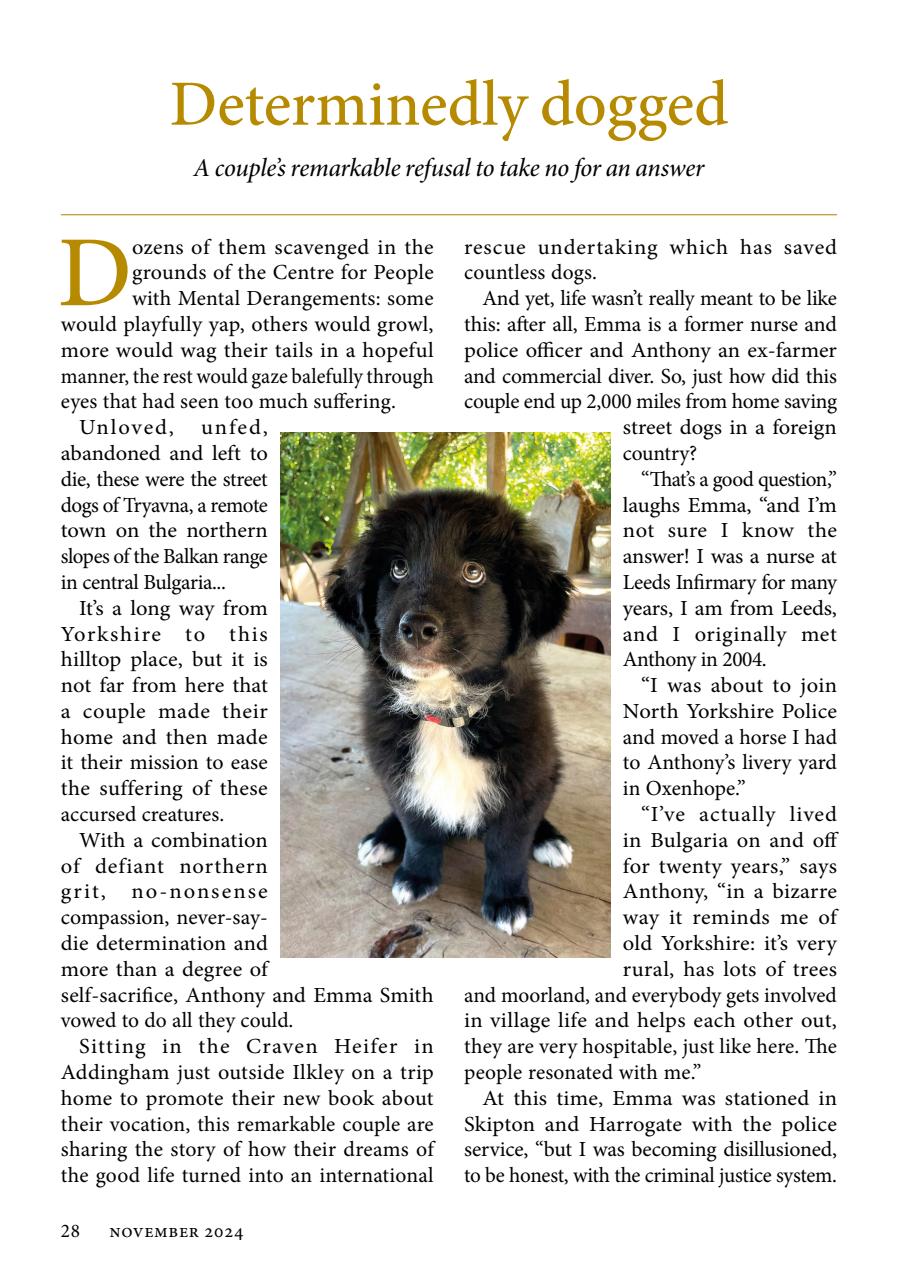 The Yorkshire Dalesman Preview Pages