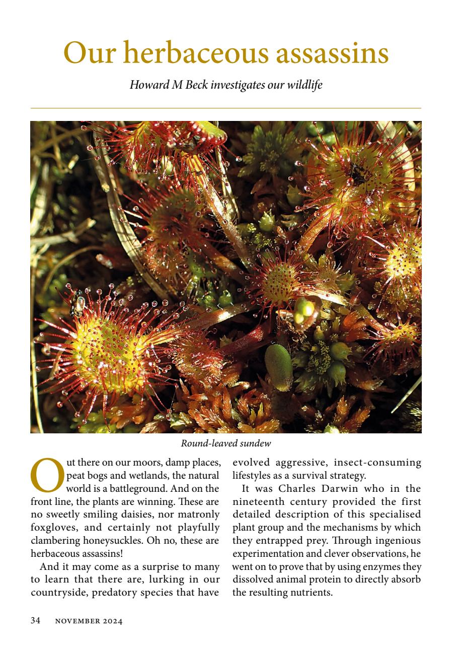 The Yorkshire Dalesman Preview Pages