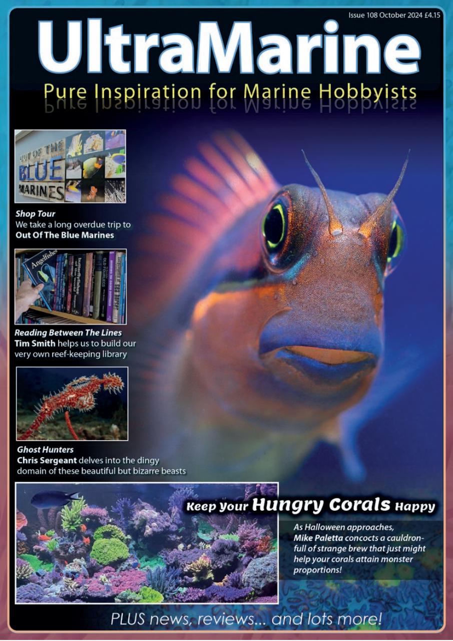 UltraMarine Magazine Preview Pages