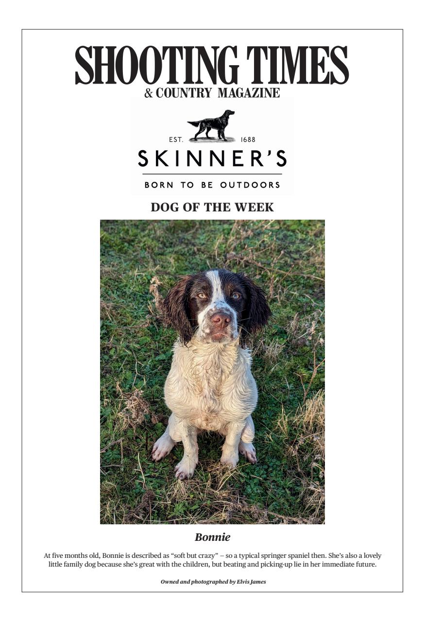 Shooting Times & Country Preview Pages