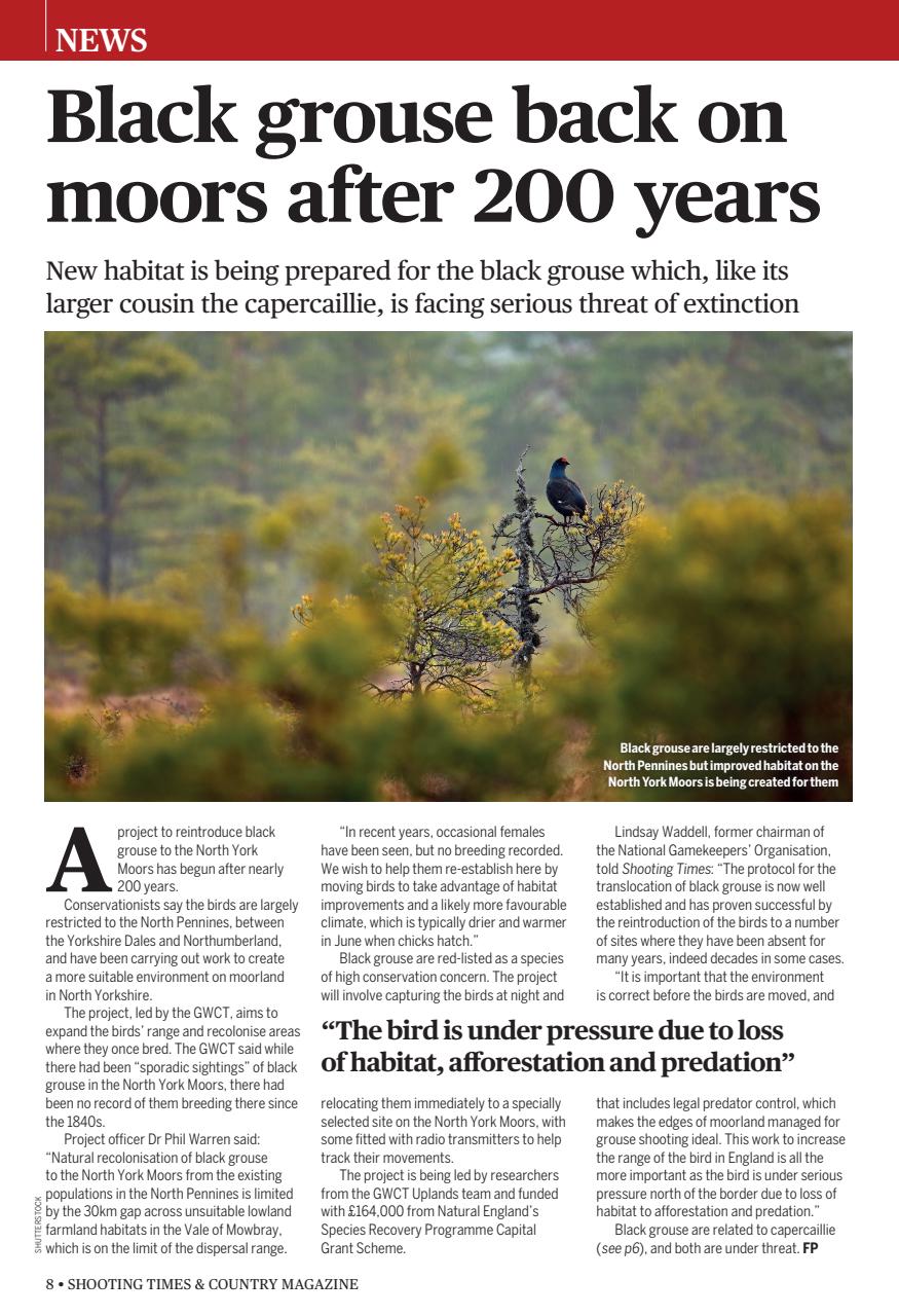 Shooting Times & Country Preview Pages