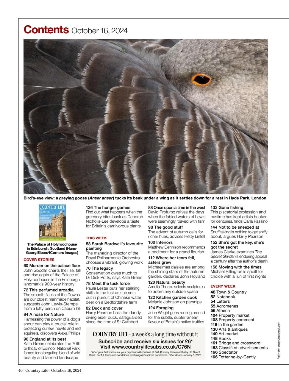 Country Life Preview Pages