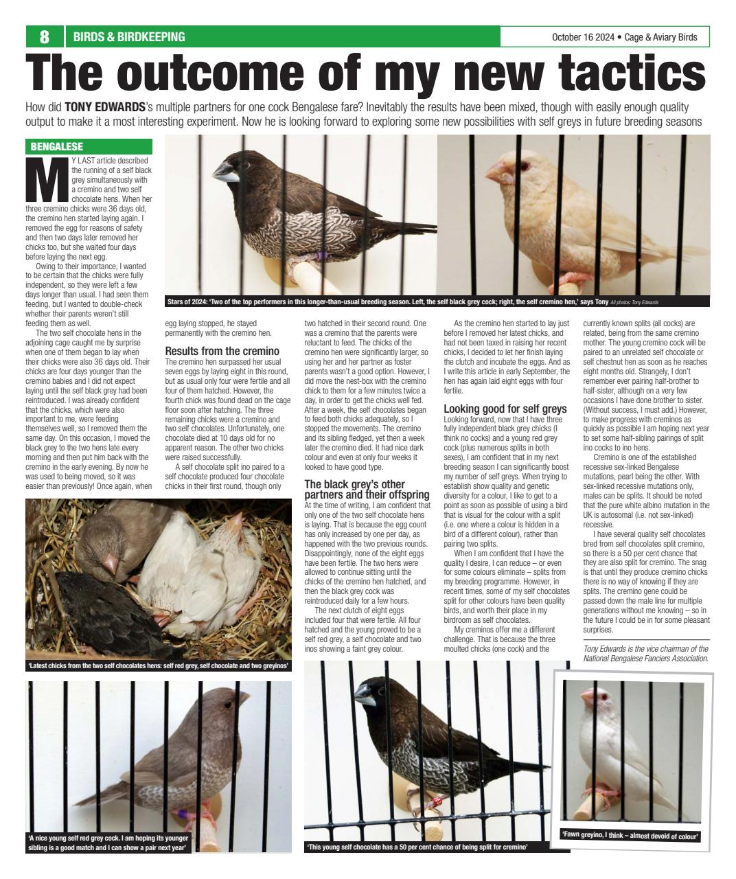 Cage & Aviary Birds Preview Pages