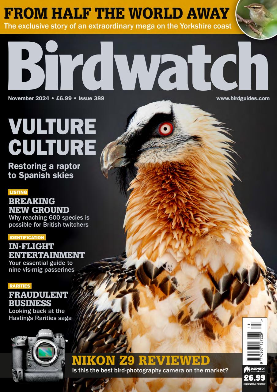 Birdwatch Magazine Preview Pages