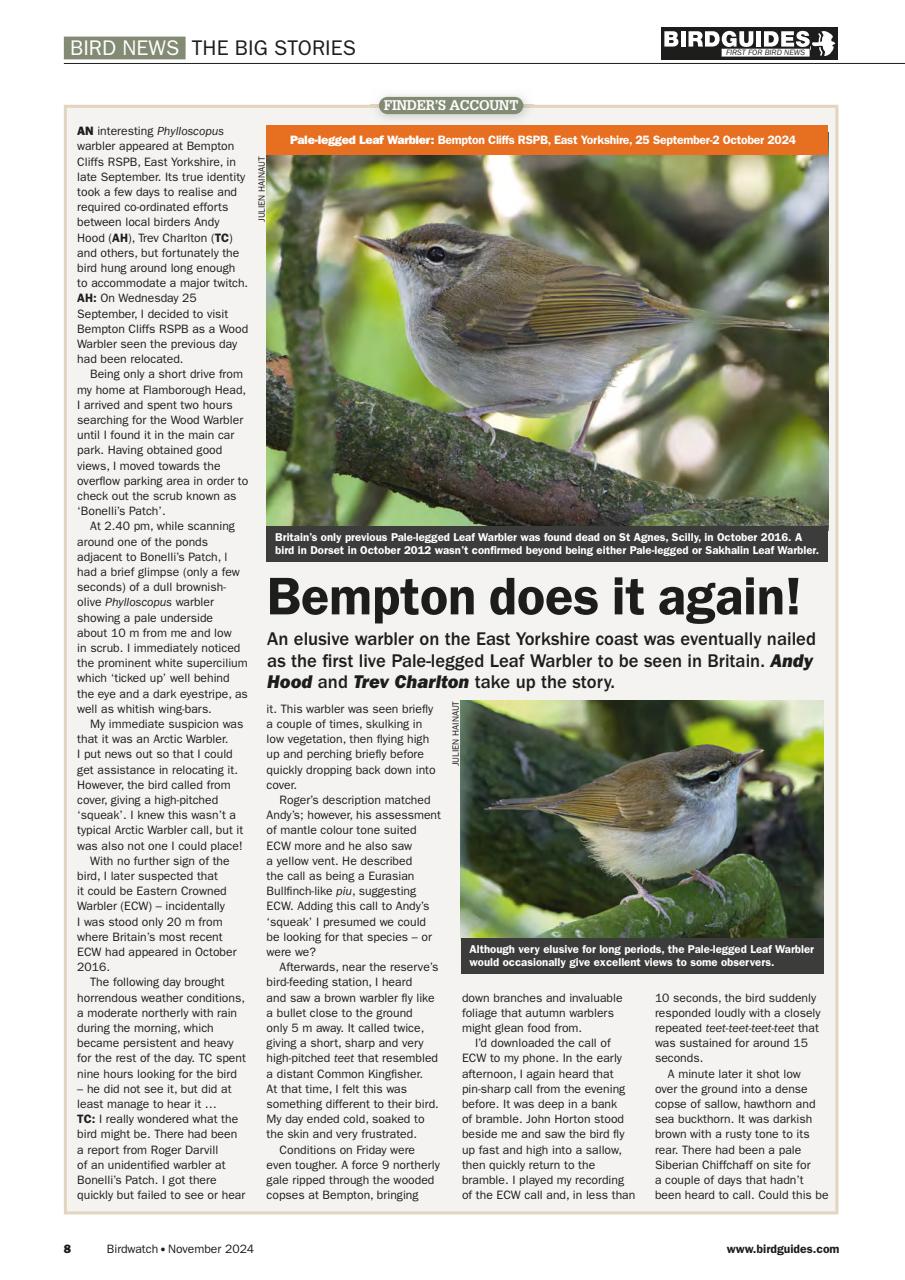 Birdwatch Magazine Preview Pages