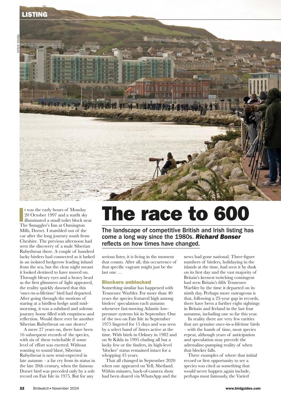 Birdwatch Magazine Preview Pages