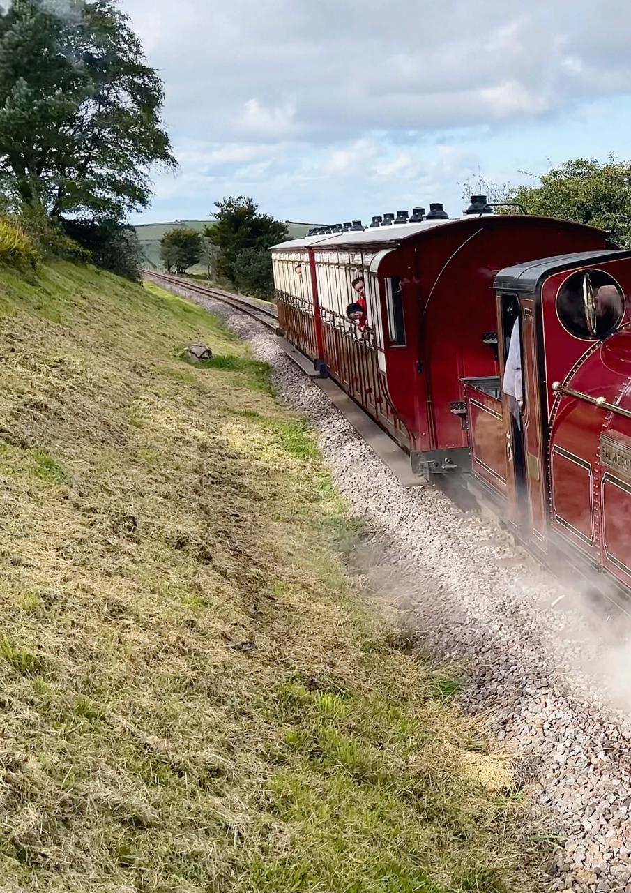 Narrow Gauge World Preview Pages