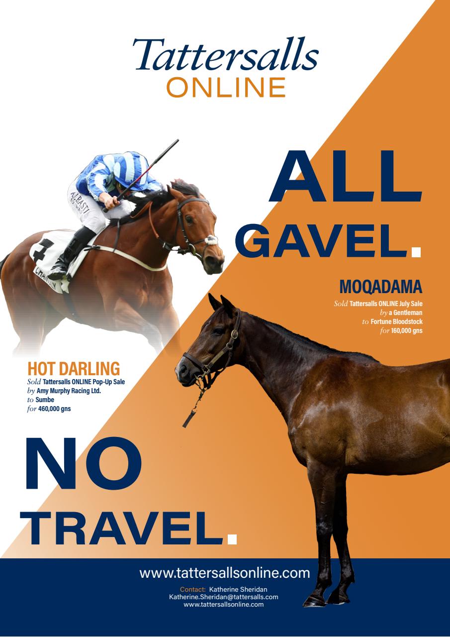 European Trainer Magazine - horse racing Preview Pages