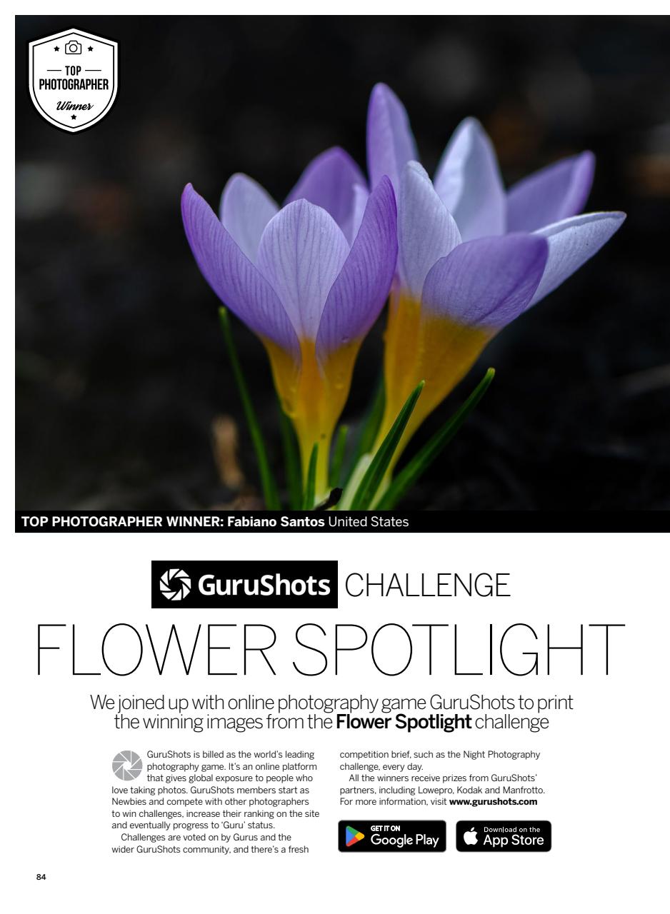 Digital Photographer Preview Pages