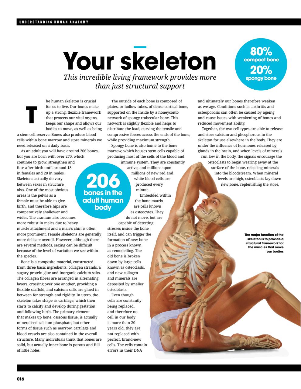 How It Works Bookazine Preview Pages