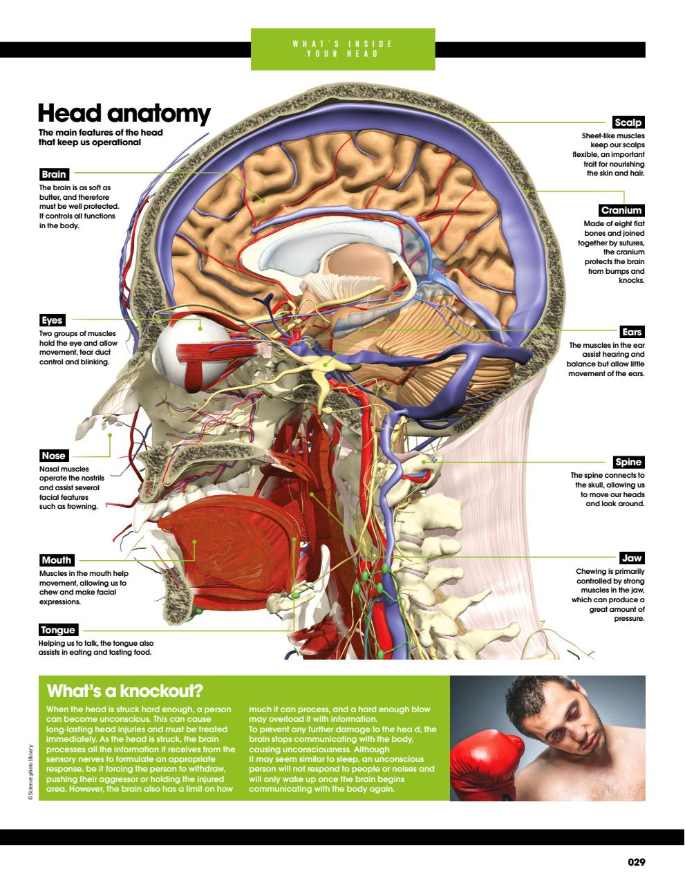 How It Works Bookazine Preview Pages