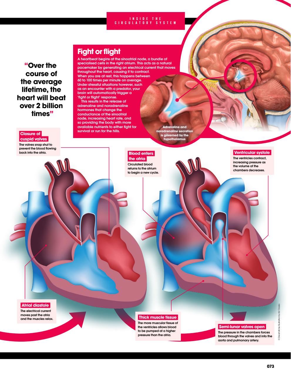 How It Works Bookazine Preview Pages