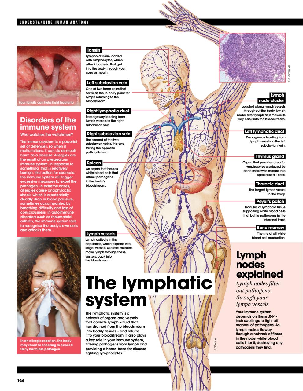 How It Works Bookazine Preview Pages