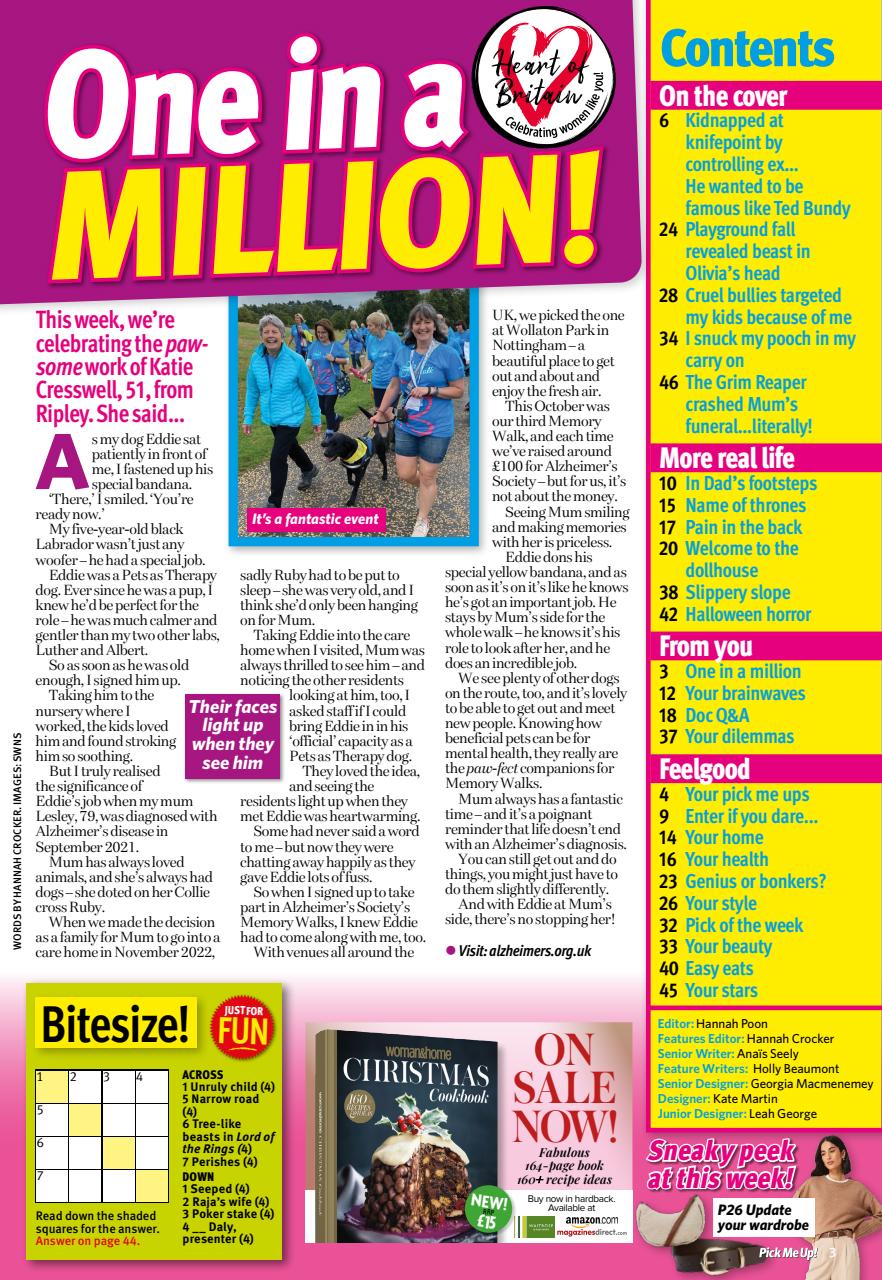 Pick Me Up Preview Pages