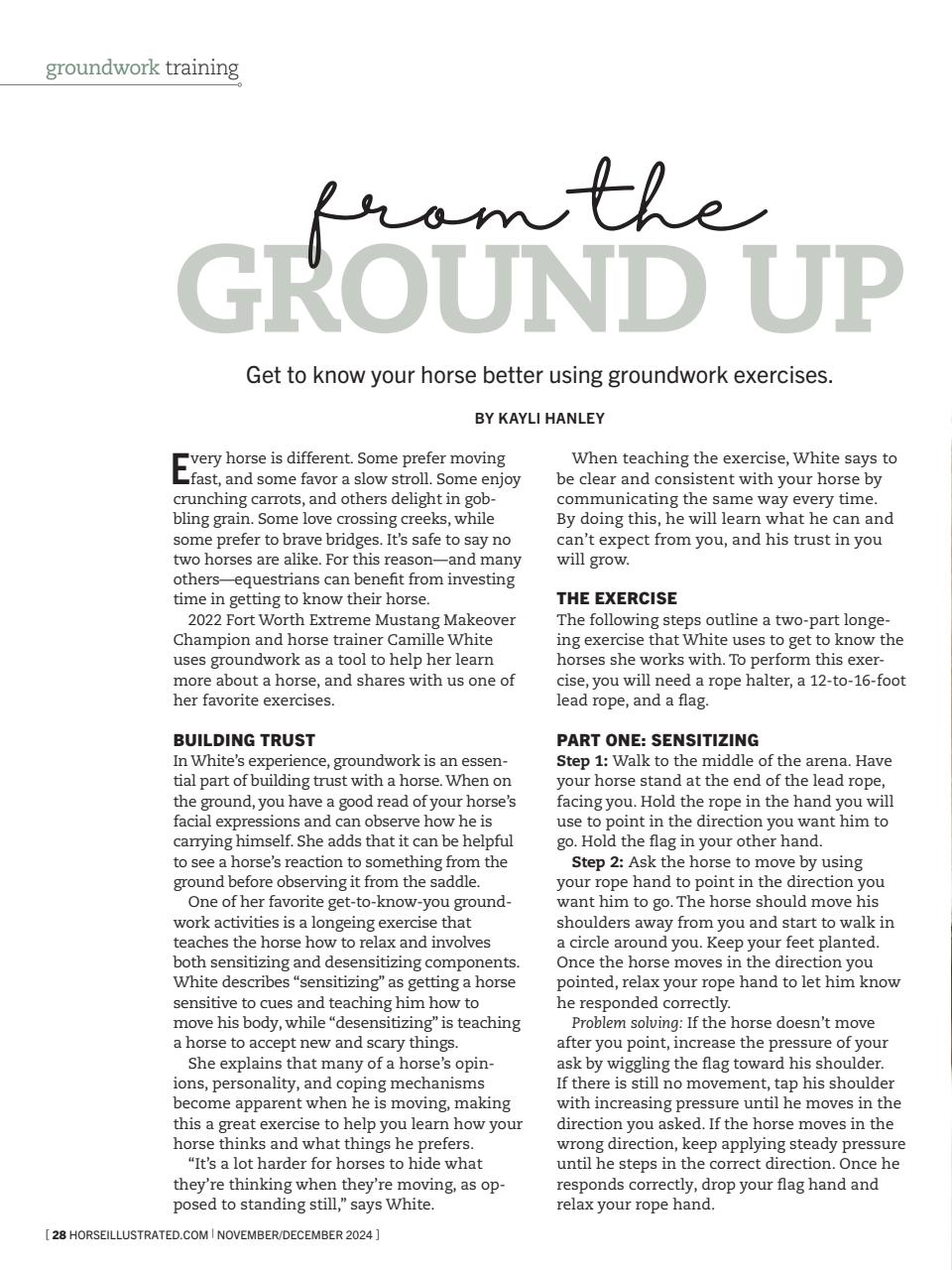 Horse Illustrated Magazine Preview Pages