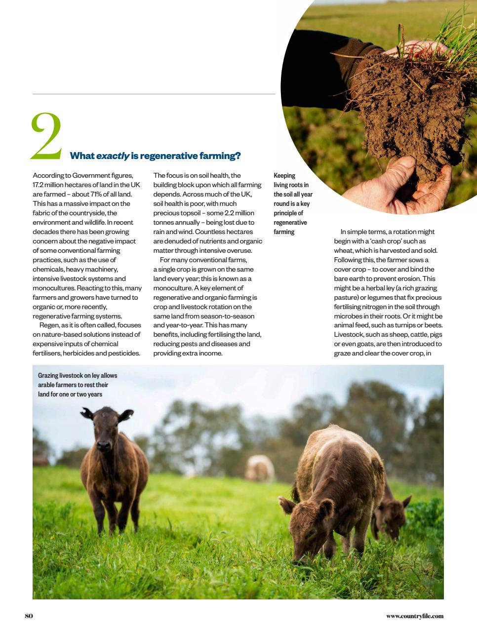BBC Countryfile Magazine Preview Pages