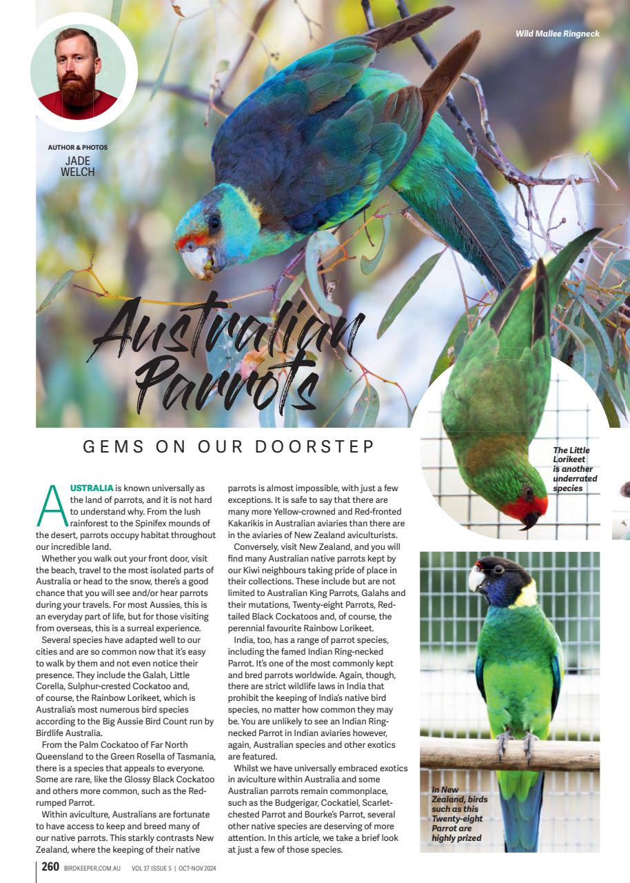 Australian Birdkeeper Magazine Preview Pages