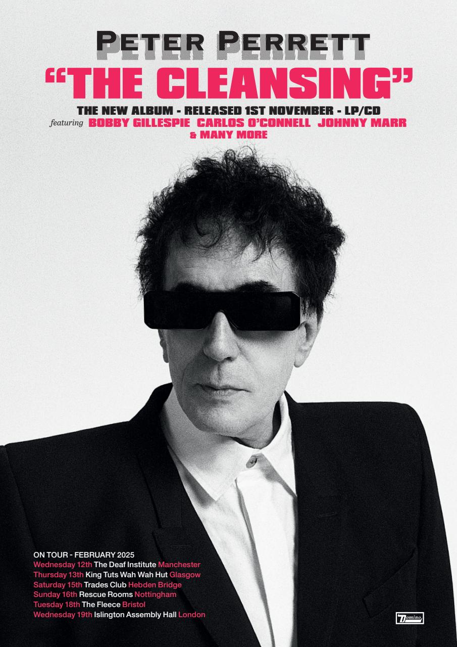 Record Collector Preview Pages