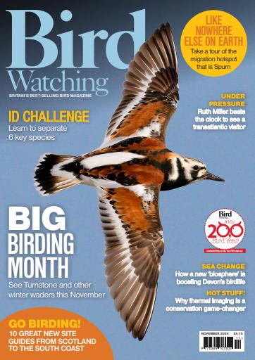 Bird Watching issue 