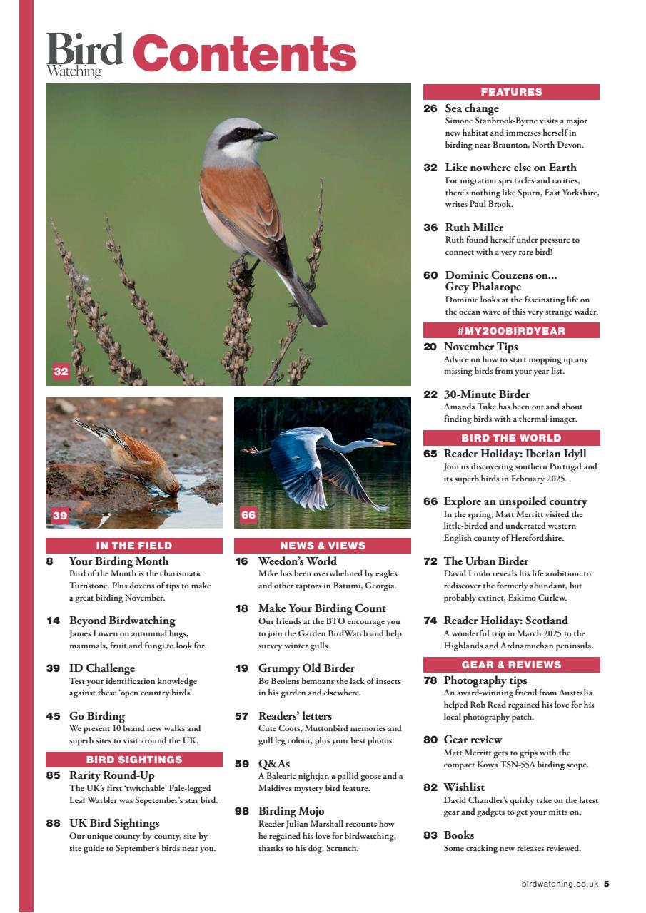 Bird Watching Preview Pages