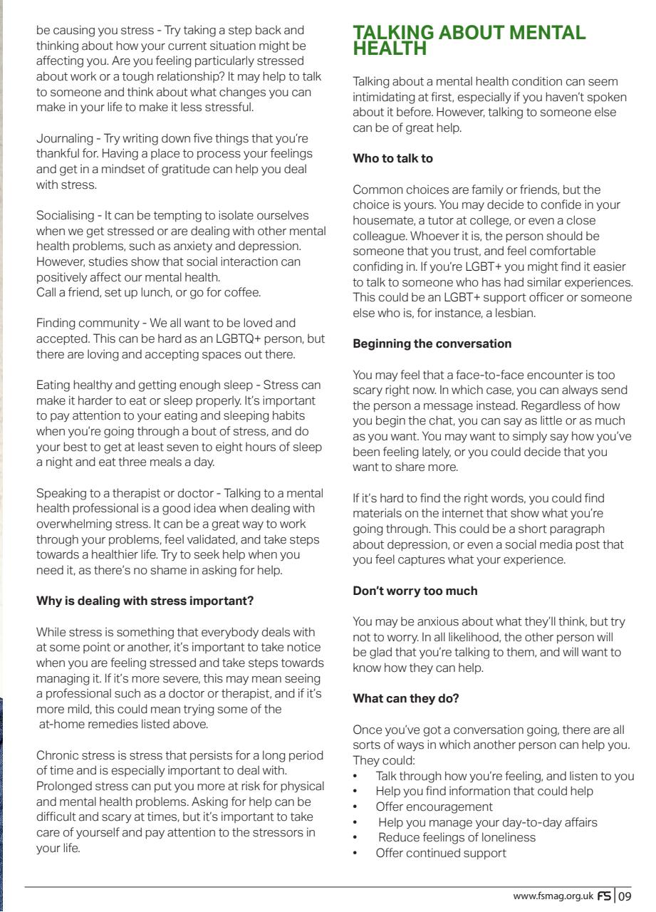 FS International Preview Pages