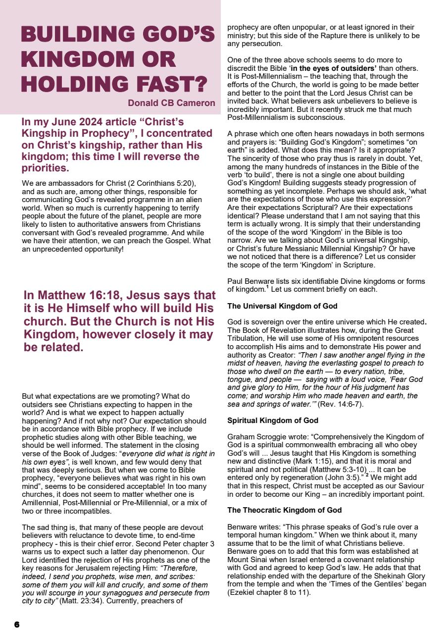 Prophetic Witness Preview Pages