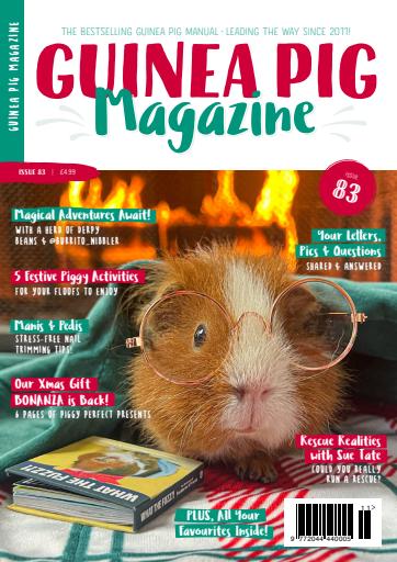 Guinea Pig Magazine issue 