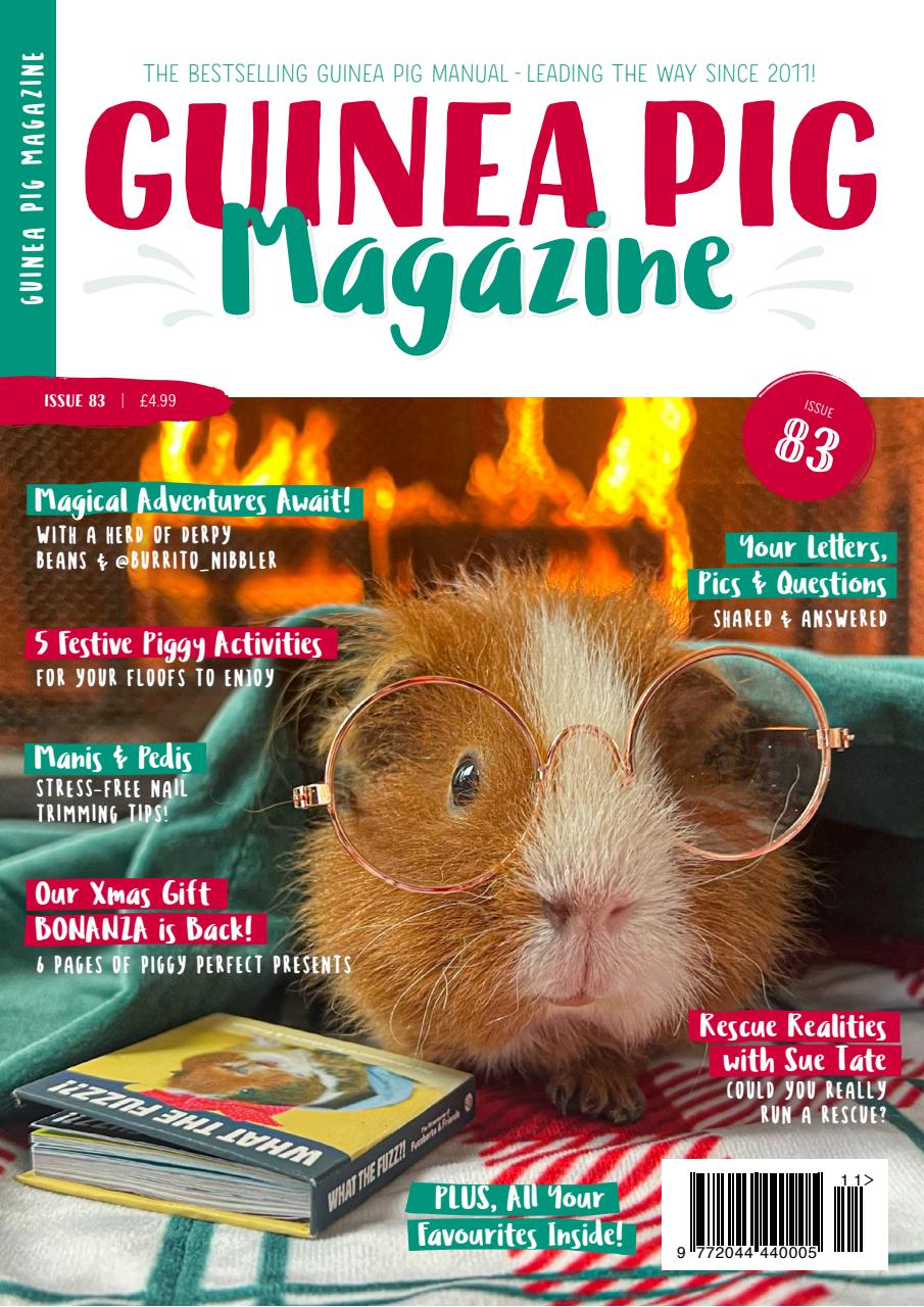 Guinea Pig Magazine Preview Pages