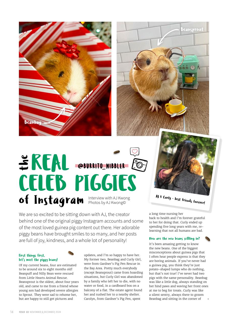 Guinea Pig Magazine Preview Pages